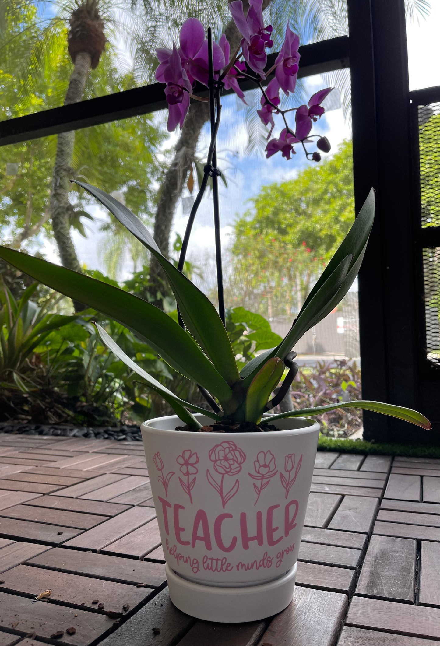 Plastic Plant Pot